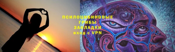 мдпв Майский