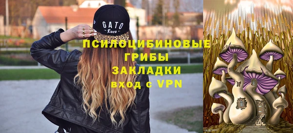 гидропоника Магас
