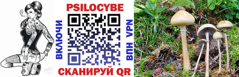Галлюциногенные грибы GOLDEN TEACHER  shop клад  Брюховецкая 